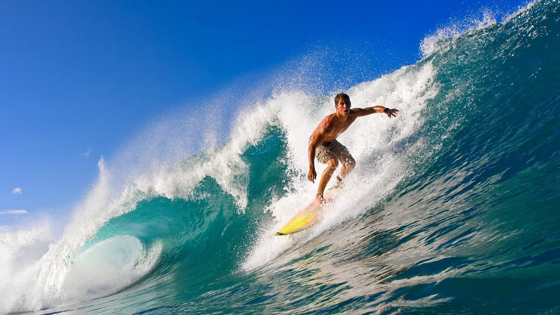 ayx体育链接-_室内排球锦标赛：不同场地同样精彩_，室内排球的比赛场地